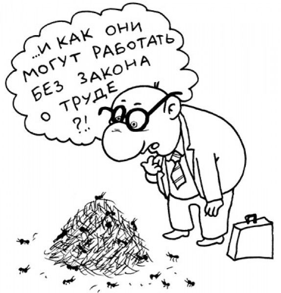 �������� �������